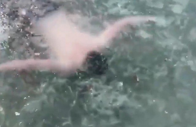 Видео держит в напряжении до последних секунду