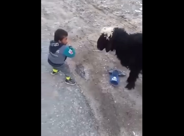 Неравный бой