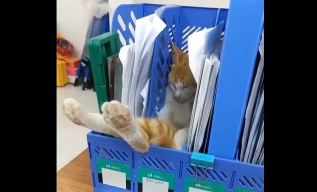 Самый уставший работник под конец дня
