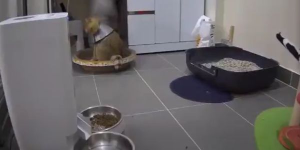 Нервный парень