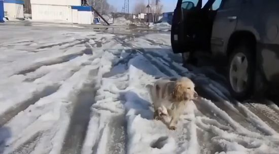 Человеческий поступок