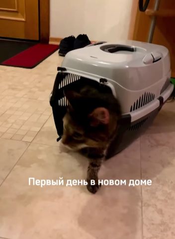 Любовь творит настоящие чудеса⁠⁠
