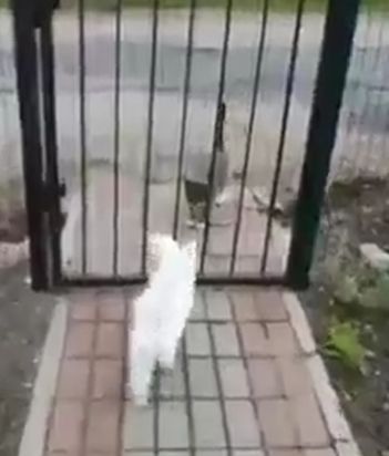 Пришел на свидание с подарком