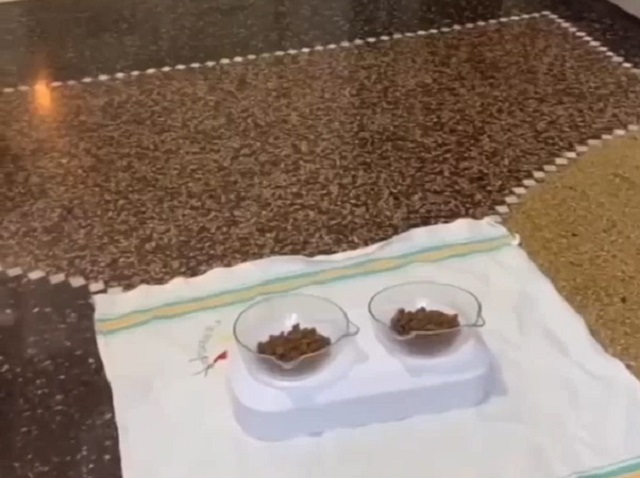 Какие же коты грациозные