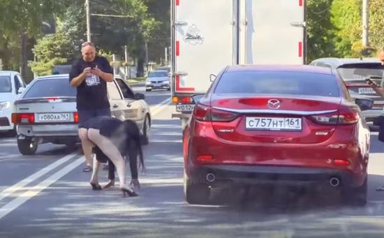 За рулём кабриолета, я включаю Летова⁠⁠