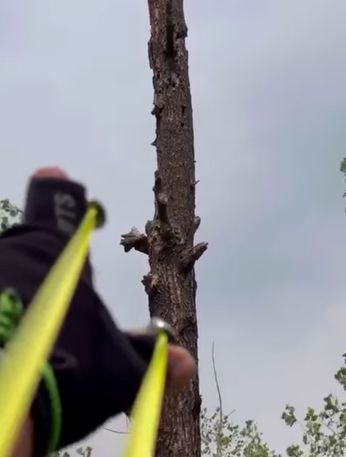 Главная безумная идея для бездельников в этом году⁠⁠