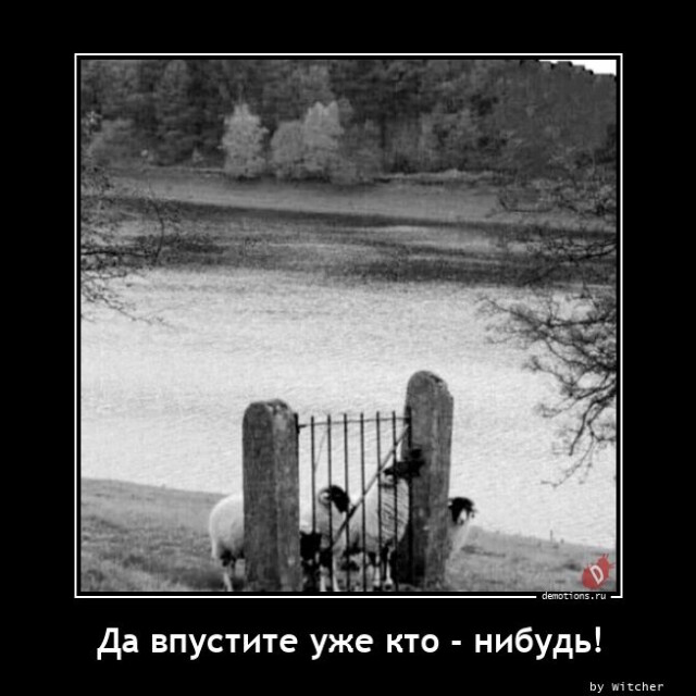 Картинки с надписями