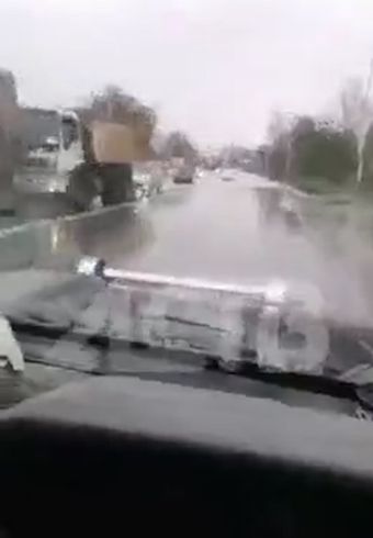 Гад