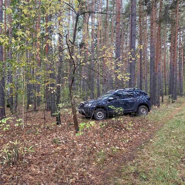 Жителя Курской области оштрафовали на 40 тысяч за посещение леса на авто