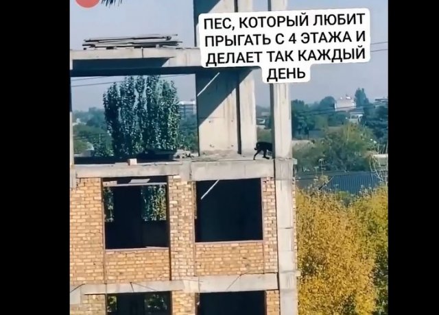 Монтаж или правда