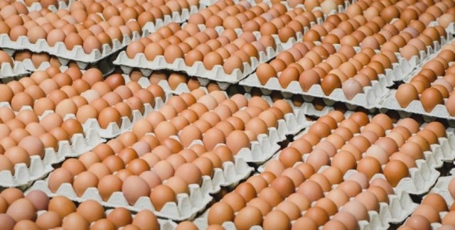 Импорт яиц и курятины становится необходимостью