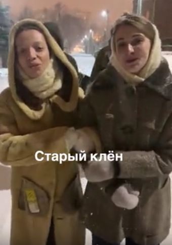 Старый клён