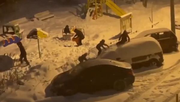 Радость детей обернулась потерей дачи