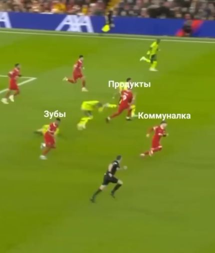 Ежедневная гонка