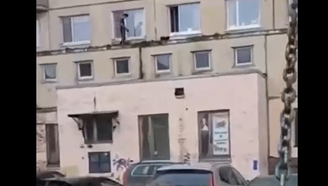 Новый метод прогулки с питомцем