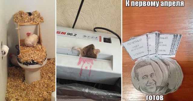 1 апреля 2024