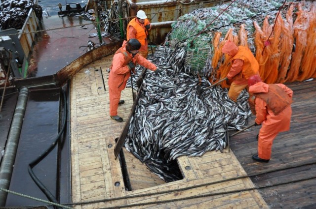 В собственность государства передали компании «крабовых королей»