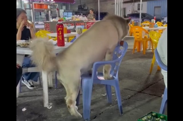 Я вас внимательно слушаю