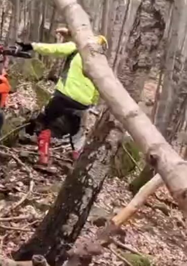 Нападение медведя
