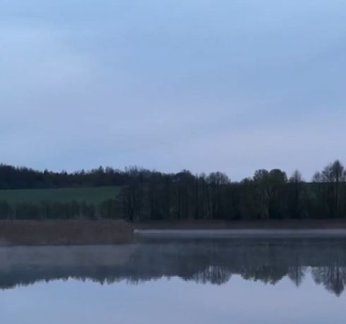 Лебедь заходит на посадку