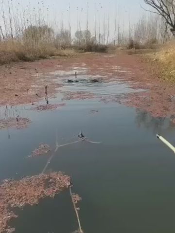 Птицы в шоке...⁠⁠