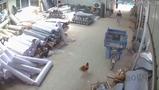 Эпичная битва⁠⁠