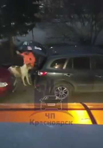 Слов нет - просто конченая