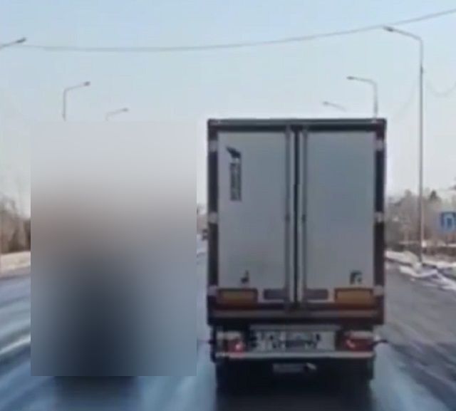 Мама фура с ребенком