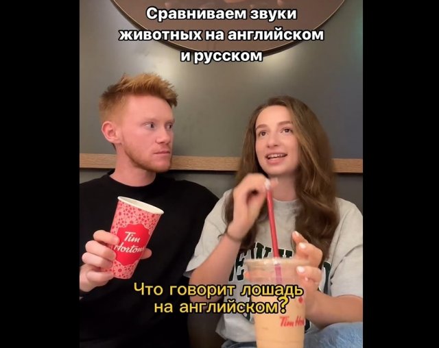 Различия звуков животных на английском и русском языках