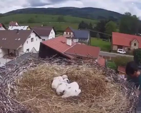 Человек с большим сердцем