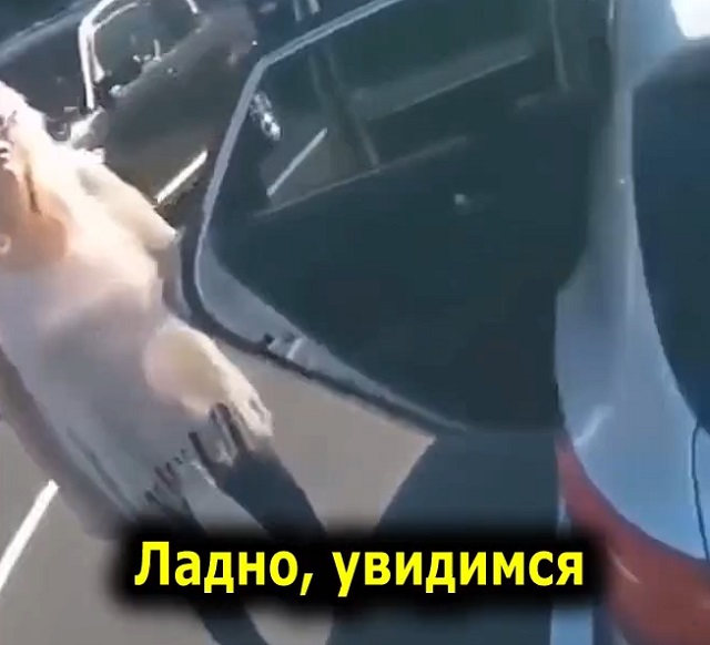 Родители плохого не посоветуют