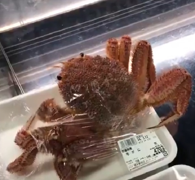 Краб сбежал из упаковки в японском супермаркете