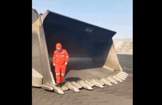 Какой же человек маленький