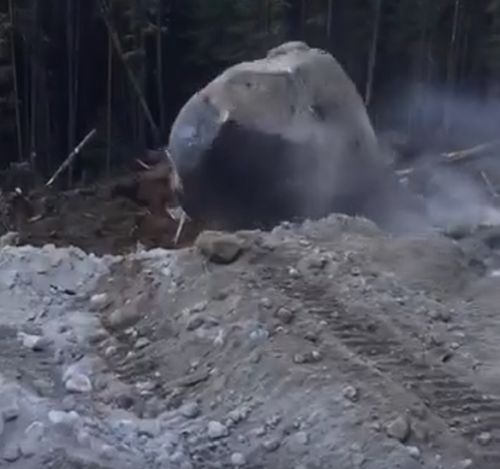 Знатное зрелище⁠⁠