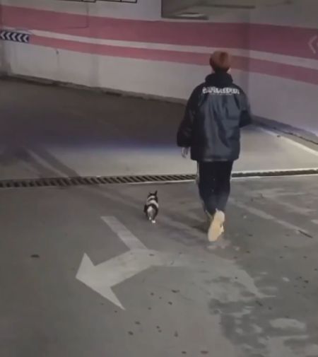 Два сапога пара⁠⁠