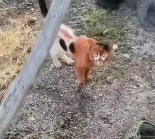 Я его слепила из того, что было...⁠⁠