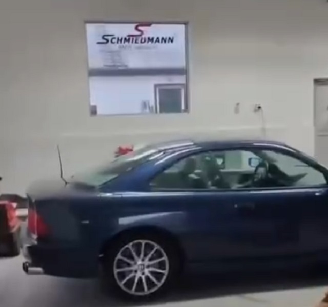 Лось устроил погром в автосалоне BMW: неожиданная история