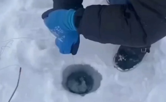 Самый быстрый рыбак
