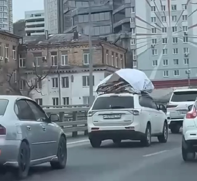 Во Владивостоке заметили огромного краба размером с автомобиль