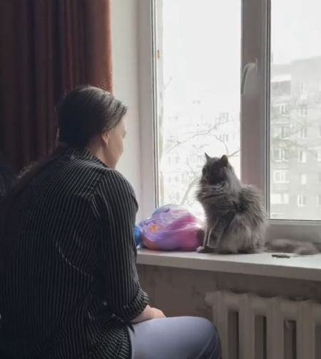 Бу! Испугался? Не бойся)