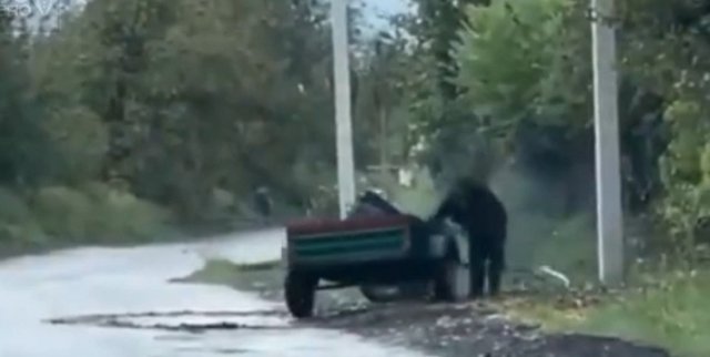 Говорят, он всё ещё ждёт