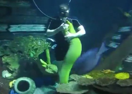 Если что-то плавает в море и прижимается к вам, как щенок, то это... мурена!