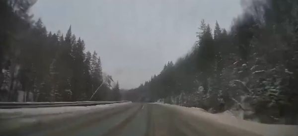 Ну хоть живы остались