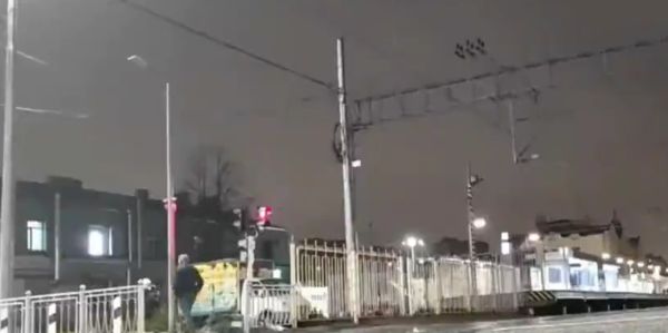 Они повсюду