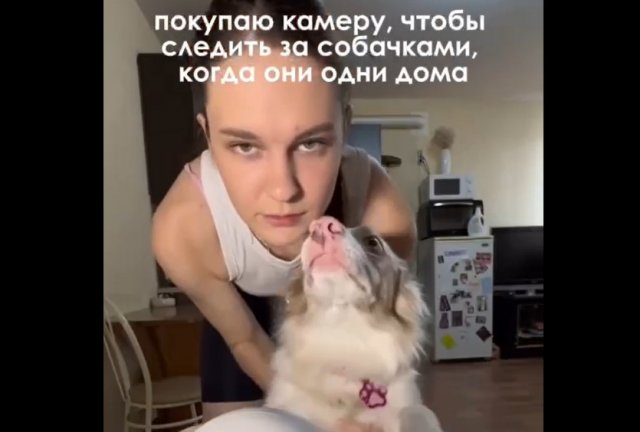 Что творят питомцы, когда их хозяева не дома