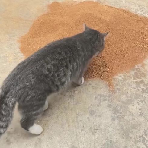 Разошелся⁠⁠