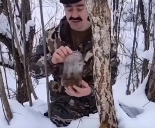 Берёзовый сок
