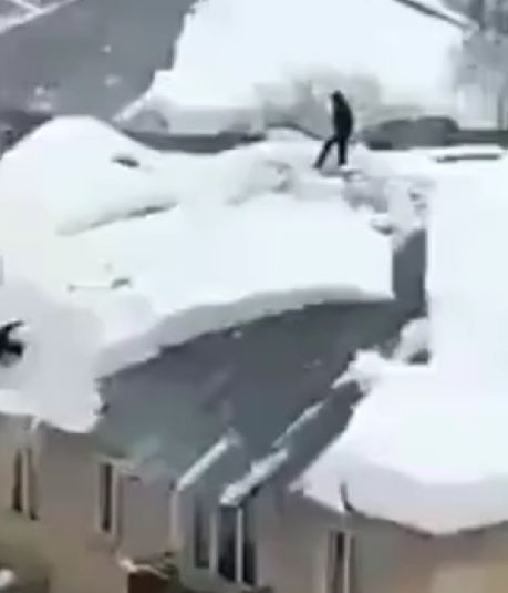 Унесённые снегом⁠⁠