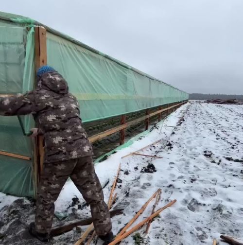 Интересный вариант с теплицей