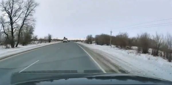 Гад